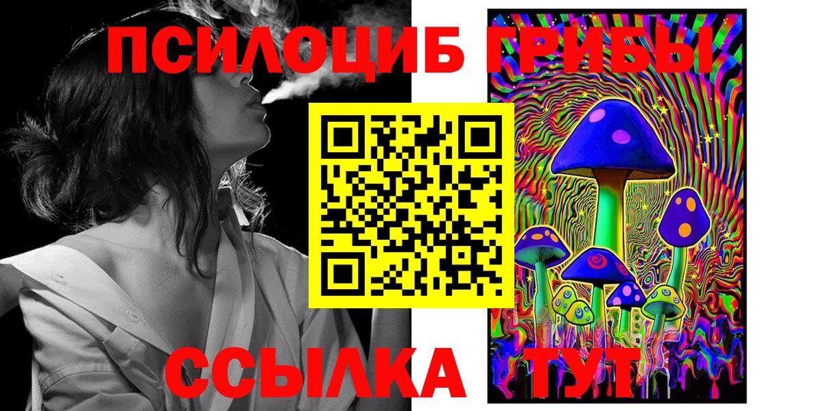 Галлюциногенные грибы Psilocybe Рузаевка