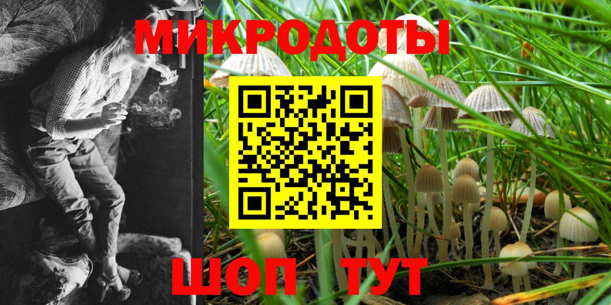 Галлюциногенные грибы Cubensis  Вход с VPN  Рузаевка 